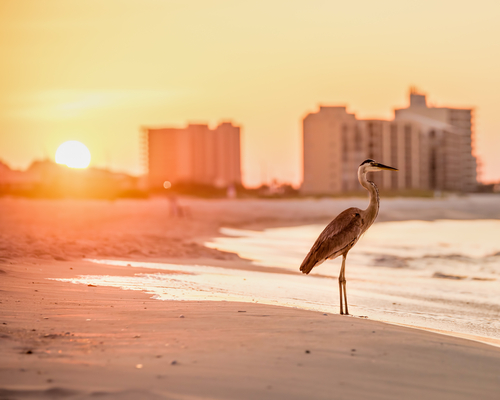 Image for One Last Getaway