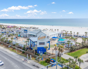 Thing To Do Nightlife