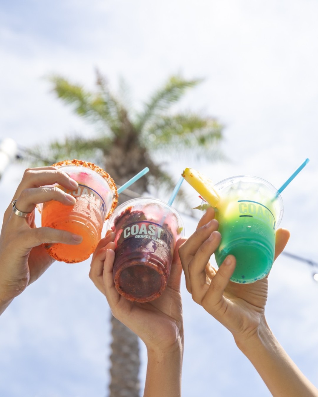 Things To Do COASTAL - Orange Beach