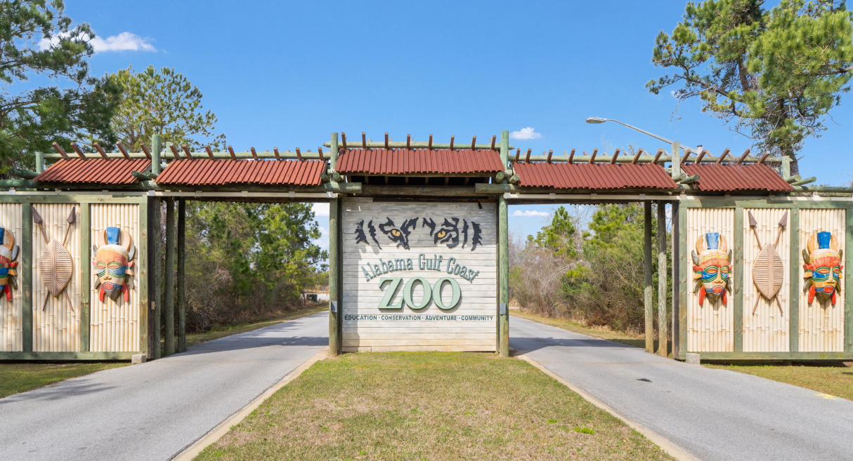 Things To Do Alabama Gulf Coast Zoo
