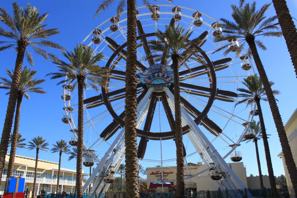 Thing To Do Family Fun